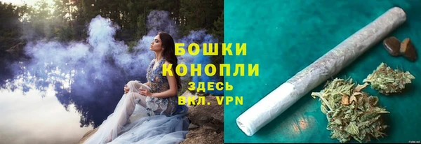 дживик Костерёво