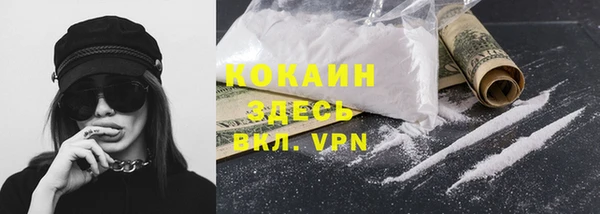 твердый Козельск