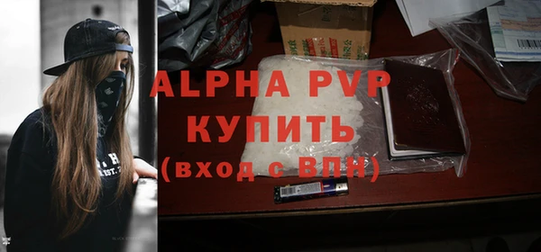 твердый Козельск