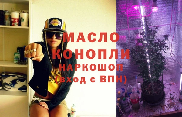 стаф Кодинск
