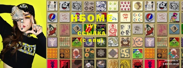 ПСИЛОЦИБИНОВЫЕ ГРИБЫ Козловка