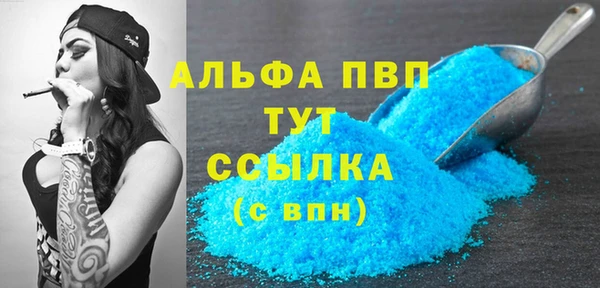 твердый Козельск