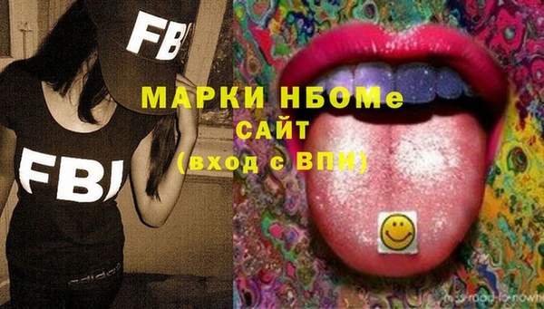 твердый Козельск