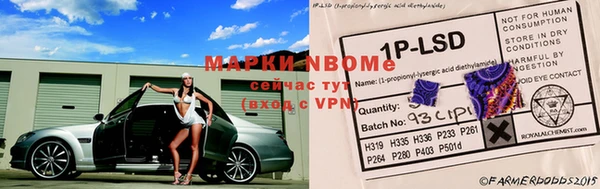 ПСИЛОЦИБИНОВЫЕ ГРИБЫ Козловка
