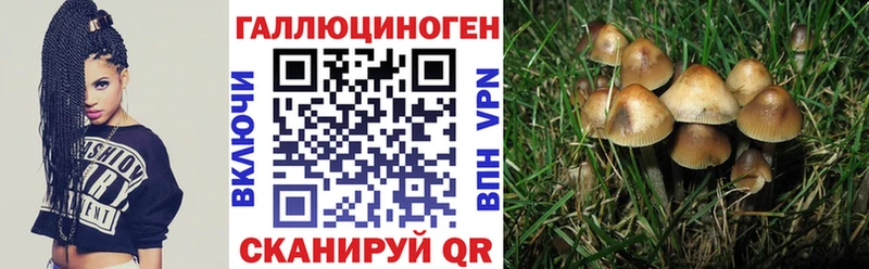 Галлюциногенные грибы GOLDEN TEACHER  Кстово 