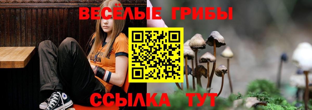 Кстово  Псилоцибиновые грибы Psilocybine cubensis  Псилоцибиновые грибы ЛСД  Вход с VPN 