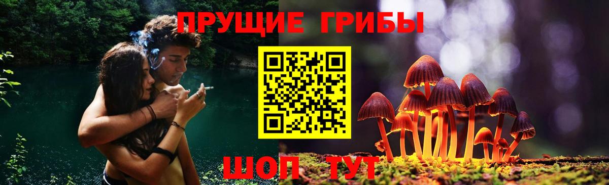 Псилоцибиновые грибы прущие грибы Кстово